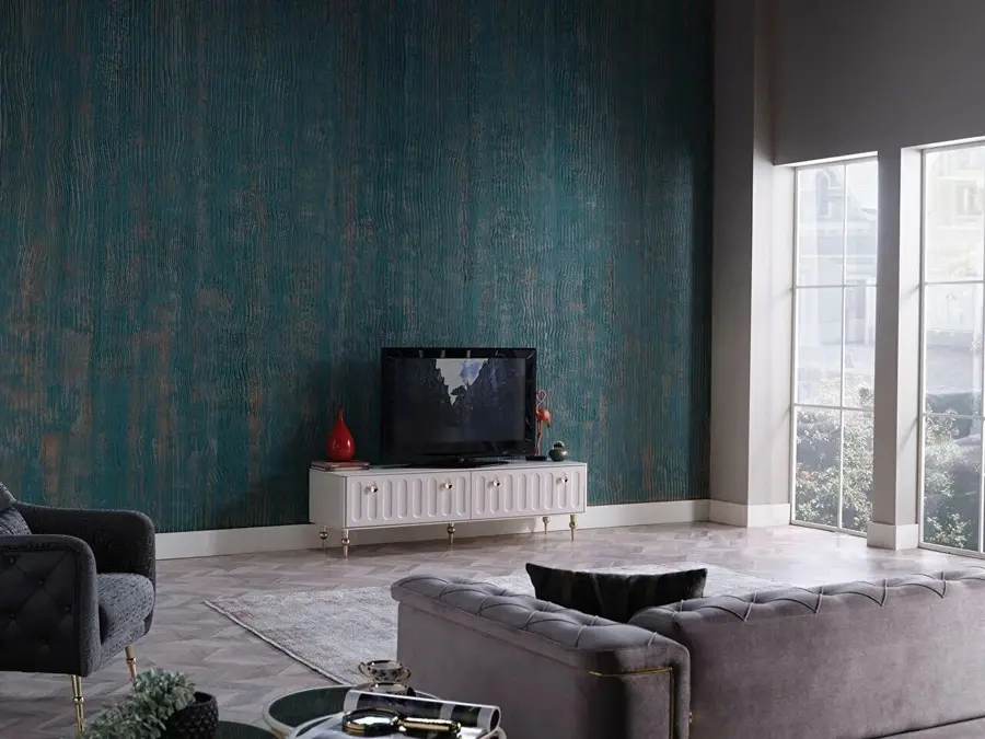 blanca tv unitesi 4