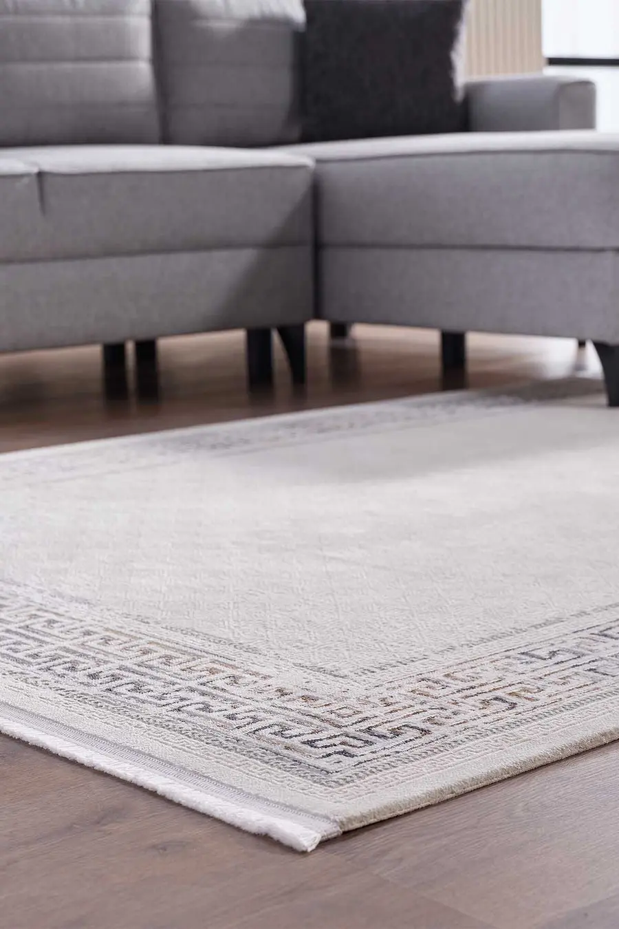Lustiva 17807 Dikdörtgen Tozumaz Halı Mavi - 160x230 3